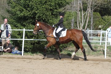 Bild 904 - WBO-Turnier am 9.4.11
